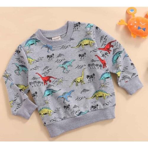 2021 Spring Autumn Little Boys Hoodie Toddlers Cartoon Dinosaur Printing Long Sleeve Round Collar Tops Casual Clothes Cotton