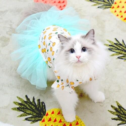 New 2022 Spring Autumn Sphynx Puppy Pet Cat Clothes For Cats Summer Print Dress Classic Hairless Cat Clothes