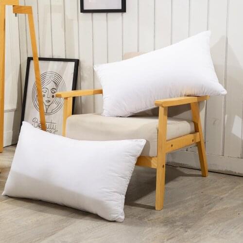 Sweet Sprout Pillows For Pregnant Women