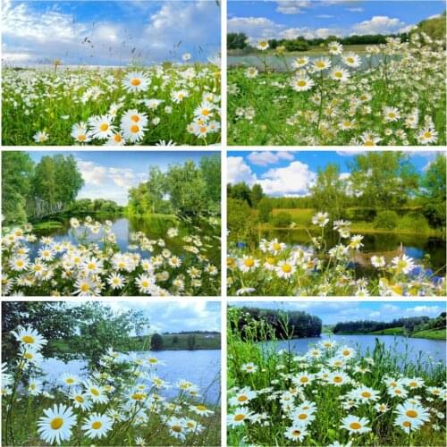 EverShine Diamond Painting Full Square Flower Cross Stitch Diamond Embroidery Daisy Handmade Hobby Gift Natural Decor For Home