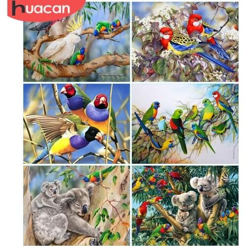 HUACAN Diamond Embroideryanimal Full Drill Diamond Painting Parrot Pictures Rhinestones Koala Diamond Mosaic Art Cross Stitch