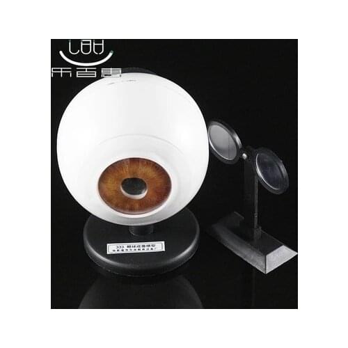 Eye model Eye imaging model assembly Myopia formation teaching apparatus free shipping
