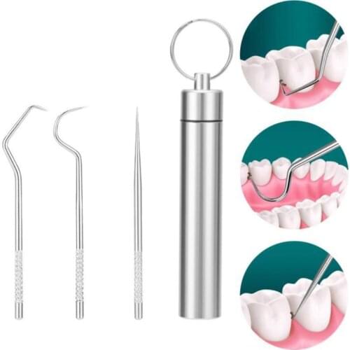 Outdoor 3Pcs/Set Toothpick Bottle Fruit Fork Stainless Steel Toothpick With Protective Case Holder Portable Multi Tool