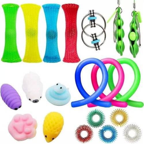 20/24pcs Fidget Toys Pack Set Mesh And Marble Fidget Toy Bing Toy Pop It Squishy Antistress Fidget Toys Autism/ADHD/Anxiety TPR
