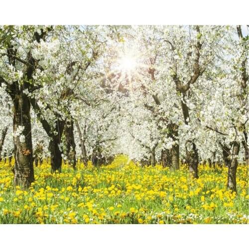 Blooming Pear Flower Orchard Landscape Backdrop Baby Shower Party Birthday Room Decor Photo Booth Studio Prop
