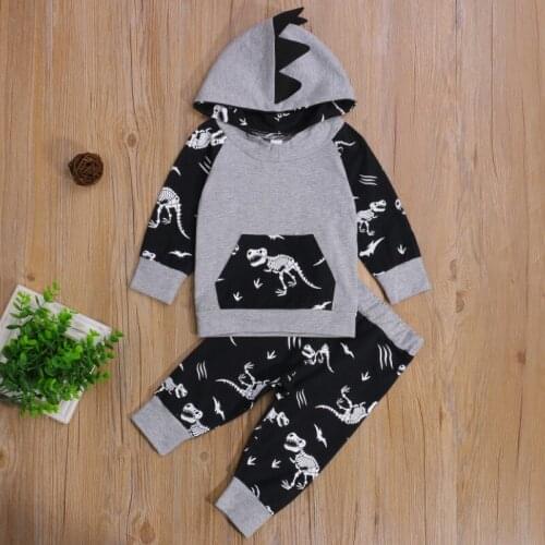 Baby Boy 2Pcs Fall Outfits, Long Sleeve Dinosaur Printed Hoodie and Elastic Waist Pants Set Spring Autumn
