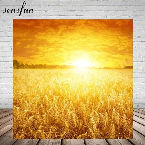 Vinyl Golden Wheatears Sunset Backdrops For Photo Studio Custom Natural Scenic Backgrounds Photocall 220x150cm