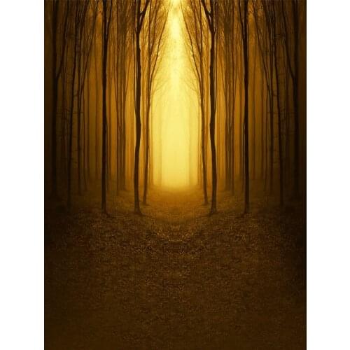 Life Magic Box background for a photo forest sfondo fotografico studio backdrop S-1982