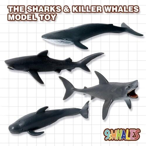 Educational Model Toy Simulation Animals PVC Shark Finned Pilot Whale Blue Whale Jaws Popular Science Decoration Gift
