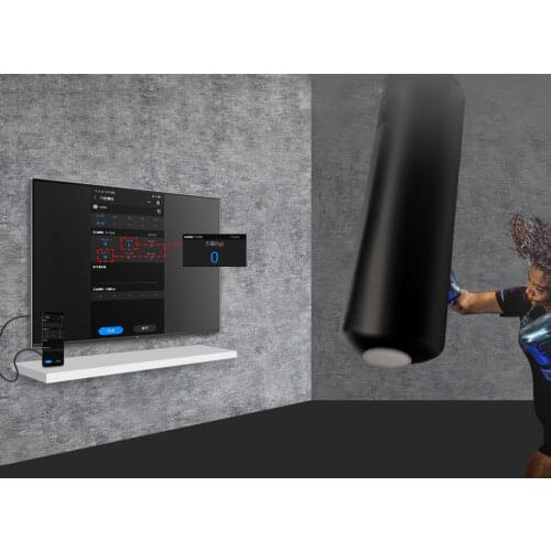 Queling Boxing Equipment