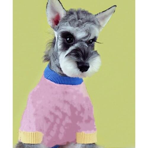 Dog Sweater Designer Cute Rose Red Letters Printing Warm Knit wear for Small Pets B1157