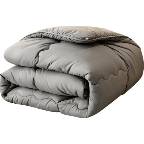 Thickened Thermal Quilt Winter Quilt Four Seasons Universal Duvet Insert Airable Cover