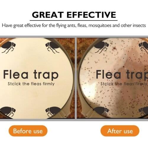 5pcs Disposable Flea Trap Sticker Sticky Dome Flea Trap Insects Killer Pest Control Refill Flea Glue Discs For Home/Campground