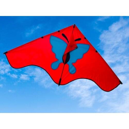 Outdoor toys kite adult flying toy kite acrobatic flying bird toy carbon kite single line fly floatant ripstop kite rainbow kite