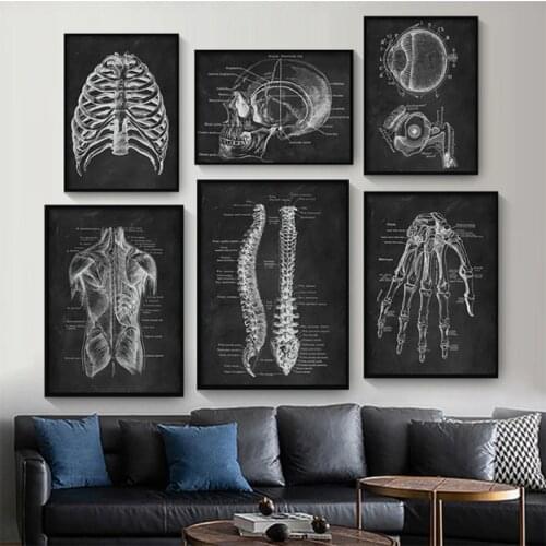 Human Organ Anatomy Poster Artwork Canvas Painting Medical School Classroom Wall Modular Picture For Hospital Clinic Decoration