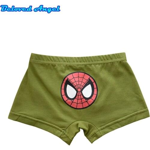 5 Pcs/lot Soft Organic Cotton Kids Boys Underwear Childrens Boxer For Boy Shorts Panties Teenage Underwear Briefs 2-13y