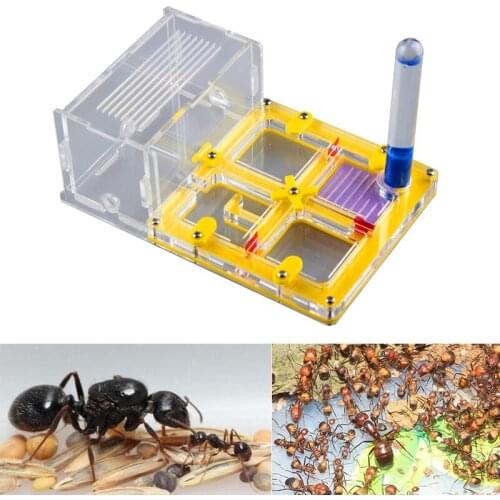 Test Tube Moisture Big Space Ant Nest ,Ant Farm Acrylic, Insect Ant Ants Villa House Ants Ecological Workshop