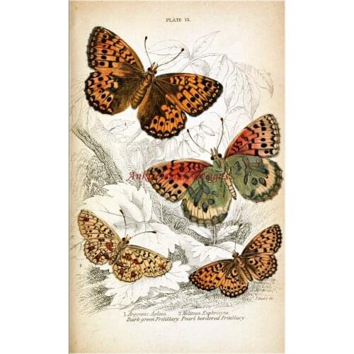 Needlework for embroidery DIY French DMC High Quality - Counted Cross Stitch Kits 14 ct Oil painting - Four Butterflies