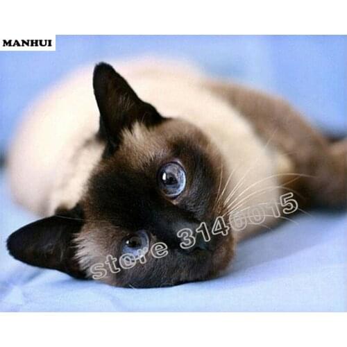 Diamond Embroidery Animal Cat Full DIY Diamond Painting Cross Stitch 3D Diamond Mosaic Bead Picture Decor BFC054