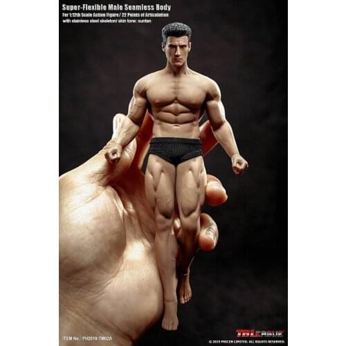 1/12 TBLeague PH2019-TM02A Male Body & Head Model Flexible Phicen Figure Doll Model Toys