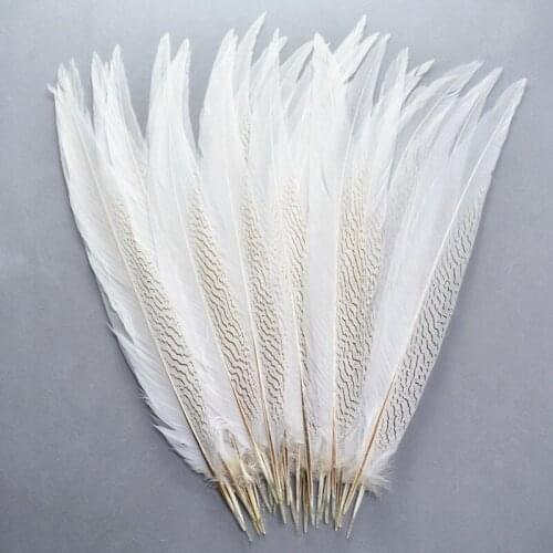 Wholesale Natural Silver Pheasant Tail Feathers 10-80CM White Pheasant Feathers for Crafts Silver Chicken Feathers Plume Plumas