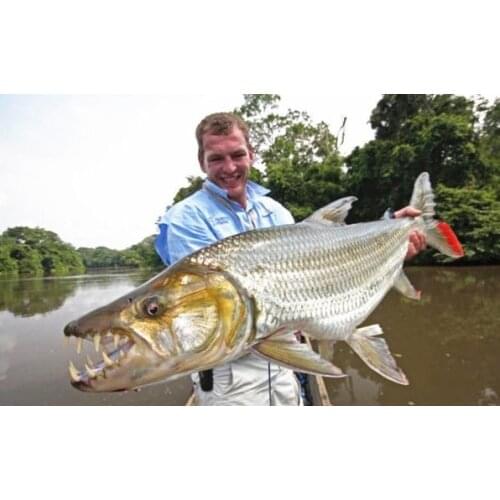 100% Original SHIMANO CURADO DC/CURADO K Fishing Reel 6.2:1/7.4:1/8.5:1 6+1BB 5KG Power I-DC4 System Strength Body Smooth light