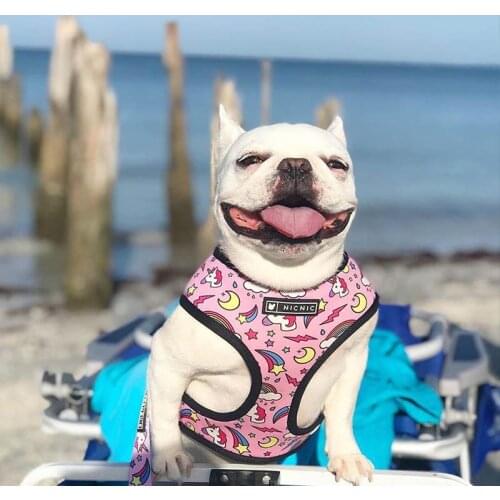 Dog Harness Leash French Bulldog sweet ice cream cute Towing rope vest Reversible Harness Walking Training Puppy Small Dogs Vest
