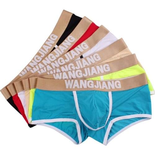 WJ brand sexy Underwear men boxers Transparent Mens Boxer shorts trunks gay men underwear men shorts size XL