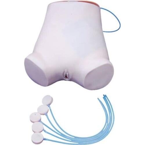 School Teaching Human Abdominal Puncture Training Model