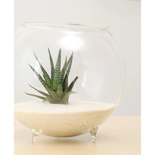Clear Ball Glass Vase Bottle Terrarium Containers DIY Table Flowers Vase Transparent Wedding Garden Decor