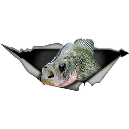 Lifelike Car Sticker 3D Animal Fish Accessories Car Window Cover Scratches Waterproof PVC 13cm X 5cm