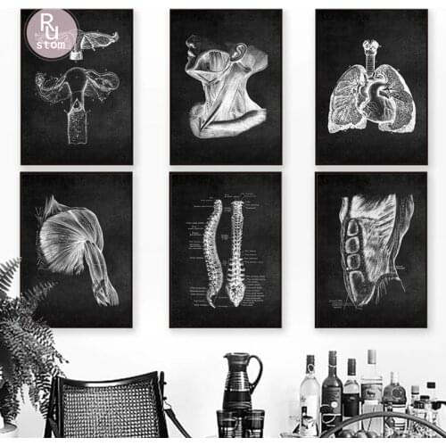 Modern Human Anatomy Artwork Medical Wall Art Picture Muscle Skeleton Education Poster Canvas Painting for Office Home Decor