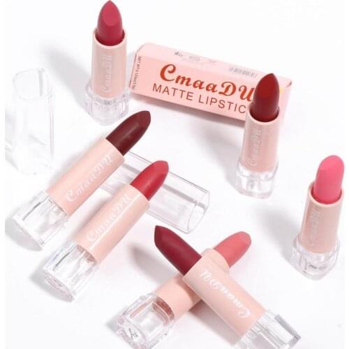 Velvet Matte Lipstick Matte Waterproof Non-marking Lipstick Long Lasting Waterproof Matte Liquid Moisturizer Lipstick TSLM1