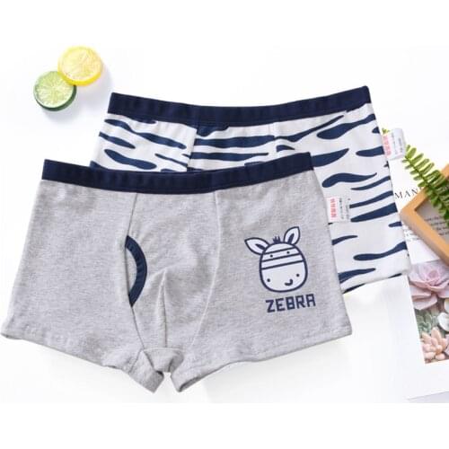 2Pcs/Lot Boys Underwear Kids Boys Panties Cartoon Cotton Boxer Shorts Kids Underwear Boxer Underpants