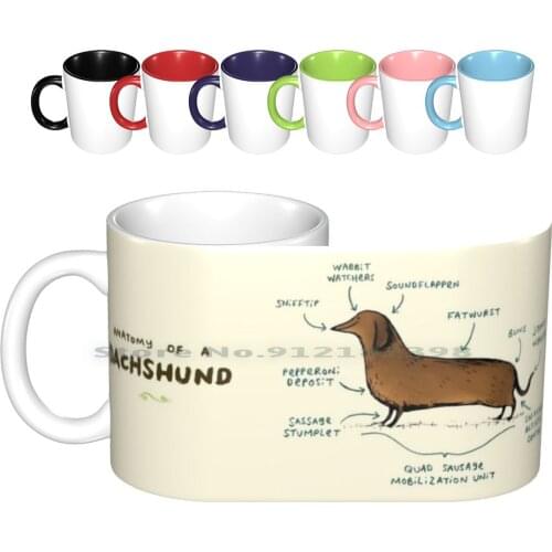 Anatomy Of A Dachshund Ceramic Mugs Coffee Cups Milk Tea Mug Anatomy Dachshund Dog Sausage Sausage Dog Pooch Puppy Canine Pet