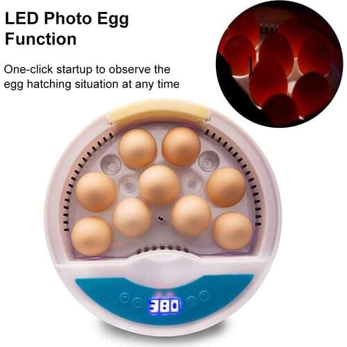 Newst Fully Automatic LED Incubator 9egg Temperature Humidity Chicken Incubator Farm Hatchery Machine Accessories For Bird Quail