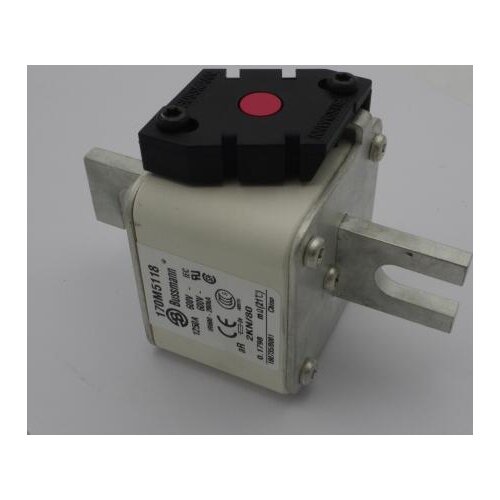 High voltage Power Fuse 170m5118 1250A 600V Bussmann fuse bussmann fuse link