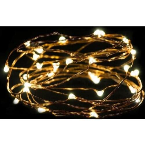 3 Meter 30 LED Silver button battery Mini copper wire garland lights for you