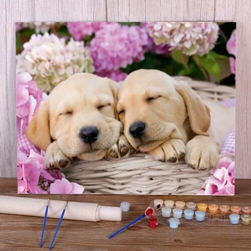 Animal Dog DIY Paint By Numbers Set Oil Paints 40*50 Canvas Painting Wall Decoration Children Drawing