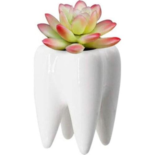 Unique Tooth Ceramic Vase Decorative Flower Arrangement Makeup Brush Holder Storage Flower Vase Pot Floral Dried Flower Planter