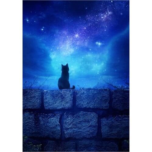 New Arrivals 5D DIY Full Round/Square Diamond Painting Cat 3D Embroidery Cross Stitch Rhinestone Mosaic Home Decor Gift Y225