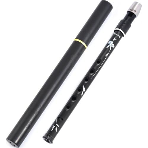 Tin whistle Recorder Instrument for Kids Adults Beginners Soprano Recorder C or D Key