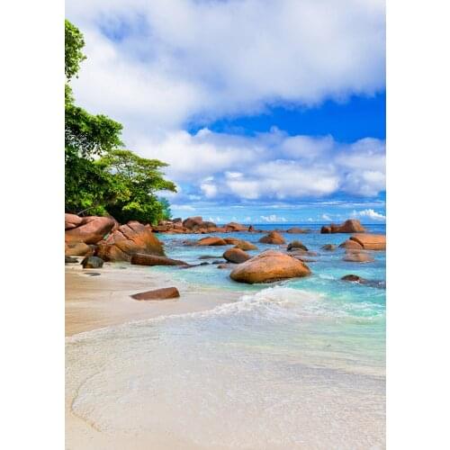 Summer island ocean rock nature photo background Photography studio background