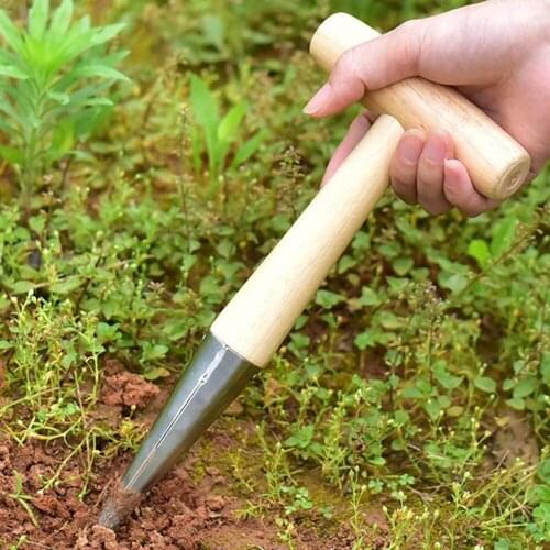 Garden Dibber with Wooden Handle Chrome Coated Stainless Steel Head Lightweight Sturdy Hand Held Bulb Planter for Sowing Seeds