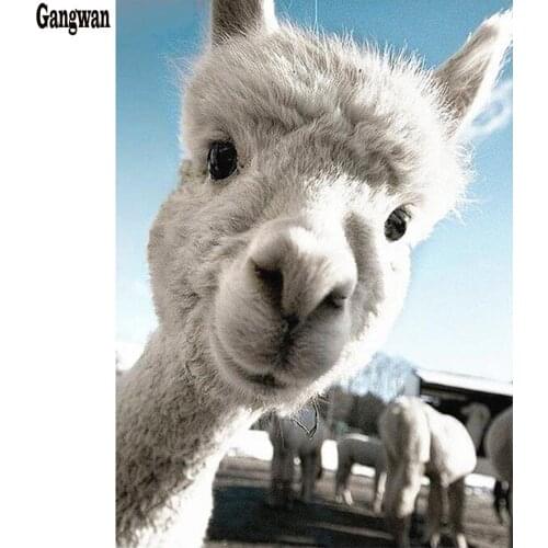 5D DIY Diamond Painting Alpaca Full square round 3D Diamond Embroidery Mosaic Cross Stitch Kit animals Diamant Home Decoration