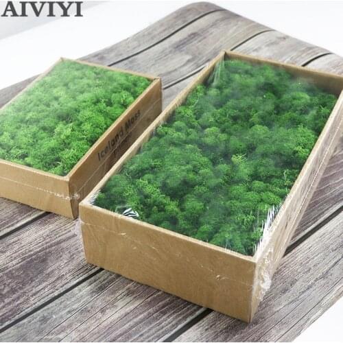 Artificial plant eternal life moss / Garden home decoration wall DIY Flower material Mini Garden Micro Landscape Accessories