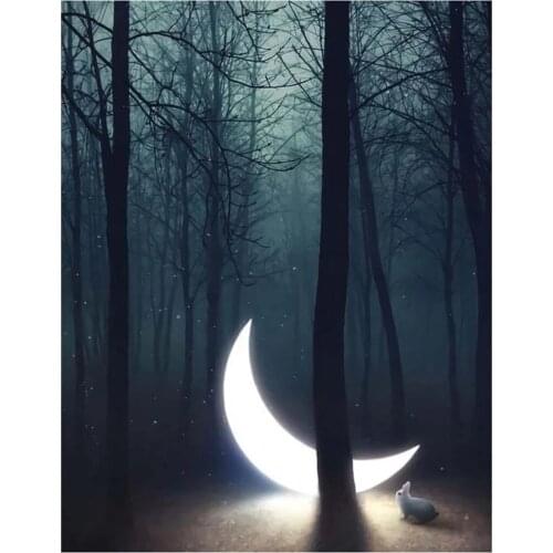 Square/Round 5D Diamond Painting Moon bunny landscape Diamond Mosaic Picture Of Rhinestone DIY Diamond Embroidery Full Display