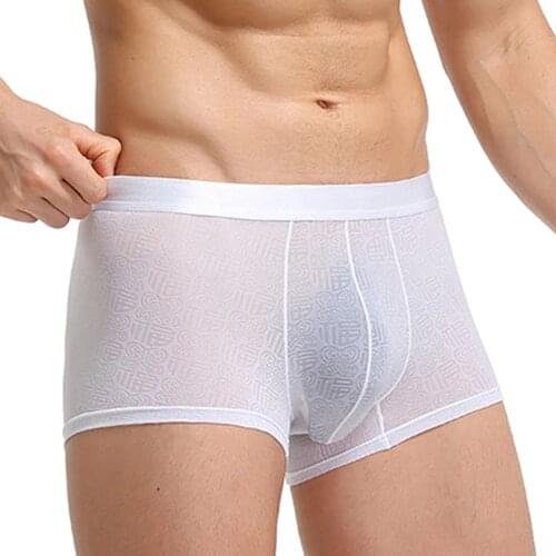 Mens Underwear Boxer Shorts Summer Ice Silk Ultra-Thin Panties Transparent Sexy Underpants China Style Mens Boxerhorts A50