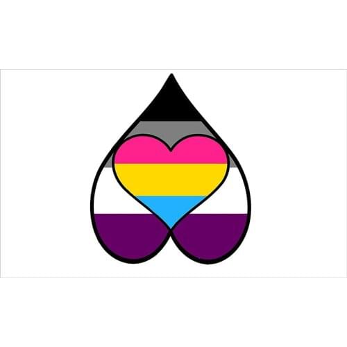 90x150cm custom Asexual, Panromantic flag with Hart banner