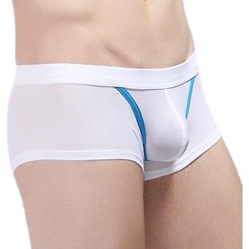 Mens Quick Dry Underwear Low-rise Sexy Boxers Pouch Mesh Breathable Shorts Underpants Male Panties